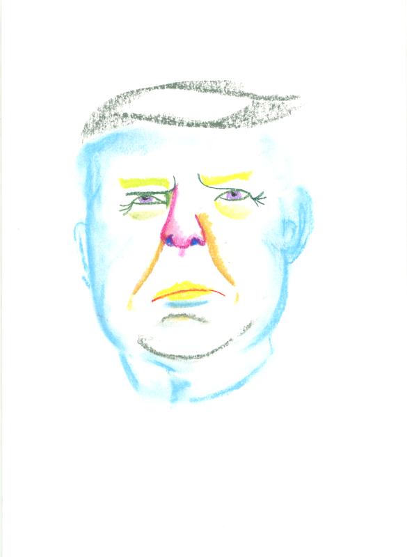 donald 1 800x500 72dpi